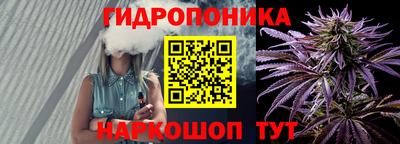 прущие крисы Ипатово