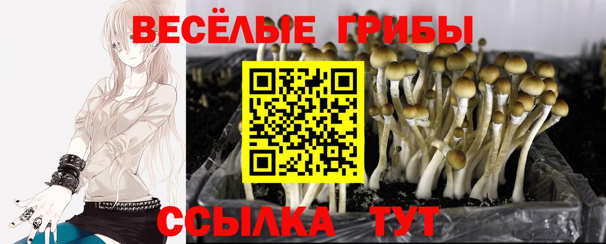 Кызыл  закладки  Вход с VPN  Галлюциногенные грибы Cubensis  Галлюциногенные грибы MAGIC MUSHROOMS 